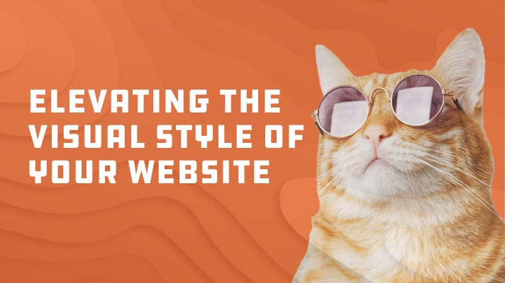 cat in glasses with blog title
