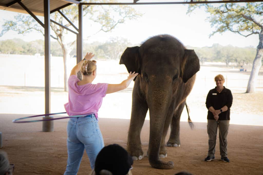 Maggie hula hoops with elephant